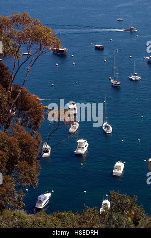 Barche nel porto di Avalon a isola Catalina Foto Stock