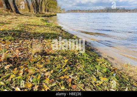 Verde, giallo e arancione di salice e pioppo lascia vicino al fiume Dnieper a Kiev, Ucraina, all'inizio dell'autunno Foto Stock