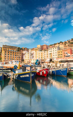 Telai Sunset Harbour e villaggio di pescatori Camogli, Golfo Paradiso, Portofino National Park, la provincia di Genova, liguria, Italy Foto Stock