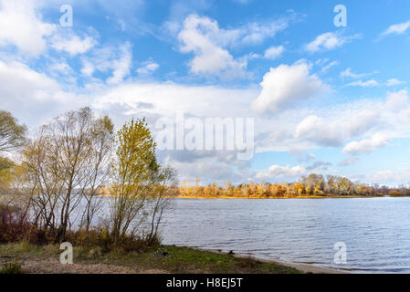 Pioppi e Salici vicino al fiume Dnieper a Kiev, Ucraina, all'inizio dell'autunno con un cielo nuvoloso Foto Stock