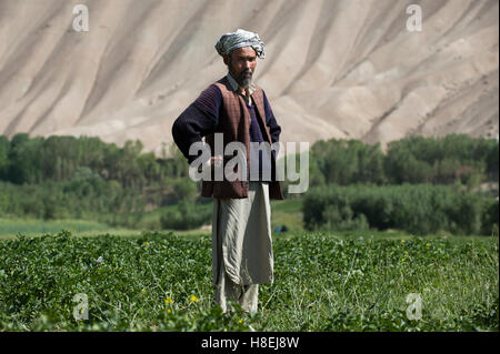 Le sterili colline della Valle di Bamiyan in Afghanistan centrale, provincia di Bamiyan, Afghanistan, Asia Foto Stock