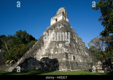 Tempio di Tikal 1, precolombiana civiltà Maya, Tikal, Sito Patrimonio Mondiale dell'UNESCO, Guatemala, America Centrale Foto Stock