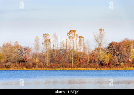 Vista sugli alberi vicino al fiume Dnieper in autunno Foto Stock