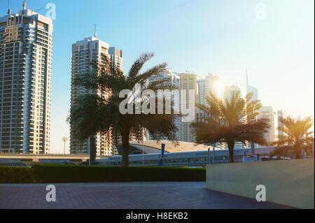 Bellissimo appartamento edifici e le palme in città Foto Stock