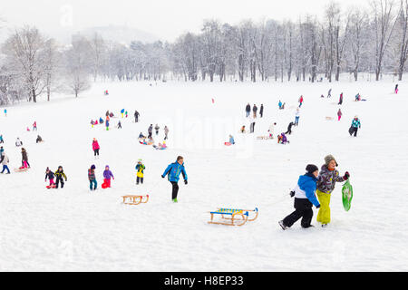 Divertimento invernale, neve, famiglia slittino in inverno. Foto Stock