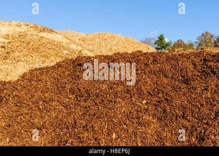 Gran mucchio di biomassa combustibile solido in forma di medie dimensioni trucioli di legno. Foto Stock