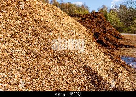 Gran mucchio di biomassa combustibile solido in forma di medie dimensioni trucioli di legno. Foto Stock