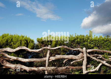 Rustico recinzione in legno con vegetazione verde blu del cielo in Azzorre. Pico. Portogallo Foto Stock