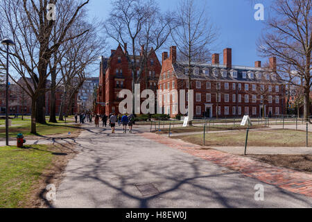 La vita in Harvard Yard, cuore storico del campus dell'Università di Harvard, in primavera a Cambridge, MA, Stati Uniti d'America. Foto Stock