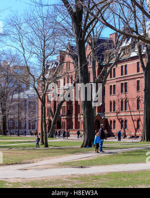 La vita in Harvard Yard, cuore storico del campus dell'Università di Harvard, in primavera a Cambridge, MA, Stati Uniti d'America. Foto Stock