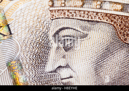 Zloty polacco closeup Foto Stock