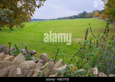 Eccezionale bellezza del Cotswold,Inghilterra durante l'autunno Foto Stock