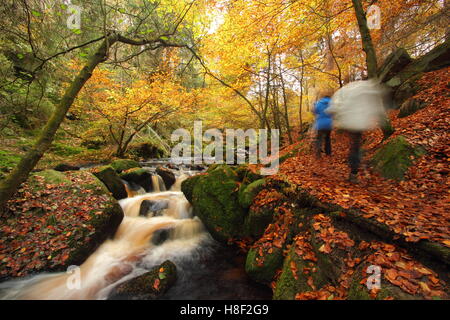 Walkers su un sentiero pubblico da Wyming Brook nel Parco Nazionale di Peak District, Sheffield South Yorkshire England Regno Unito - autunno Foto Stock