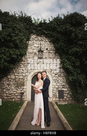 Bella ed elegante sposi, sposa e lo sposo che pongono nel parco vicino a un muro di boccole Foto Stock