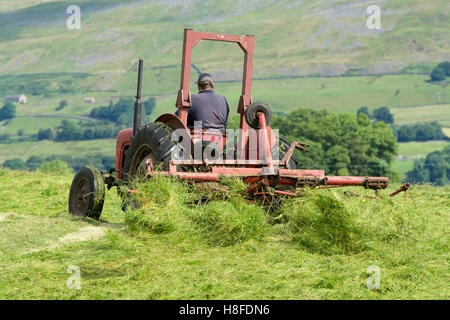 Agricoltore in Wensleydale girando prato a fare il fieno con un vintage trattore Massey Ferguson. Hawes, North Yorkshire, Regno Unito. Foto Stock