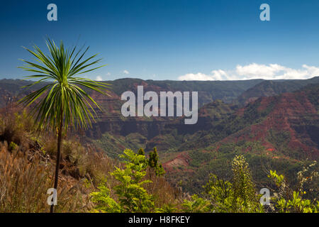 Vista del Canyon di Waimea sulla Kauai, Hawaii, Stati Uniti d'America. Foto Stock