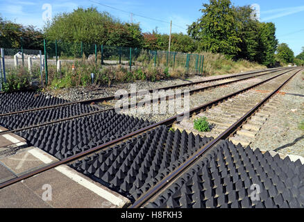 Passaggio a livello Penketh, Warrington, Cheshire con barriere Foto Stock