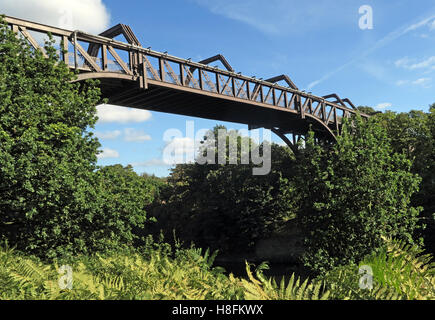 Ponte a sbalzo,Manchester Ship Canal Latchford, Warrington, Cheshire, Inghilterra, Regno Unito Foto Stock