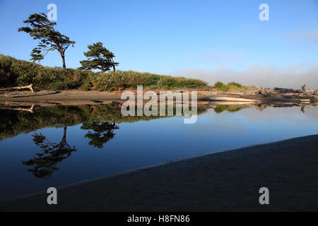 Riflessioni sulla calma mattina Creekside Foto Stock