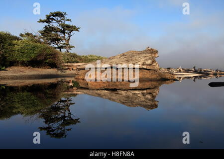 Riflessioni sulla calma mattina Creekside Foto Stock