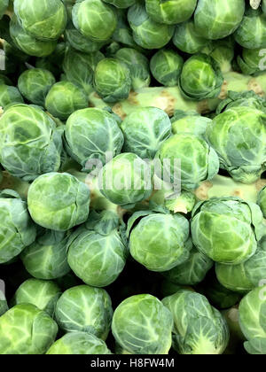 I CAVOLI DI BRUXELLES SULLA LEVETTA Foto Stock