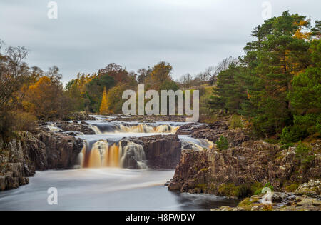 Bassa forza in cascata Teesdale superiore, Foto Stock