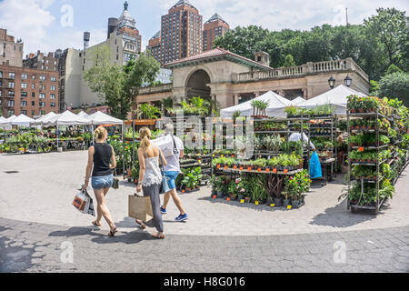 3 Venti somethings vengono deviate dalla zona di giardinaggio di Union Square greenmarket fornire piante per city terraces & fire fuoriesce Foto Stock