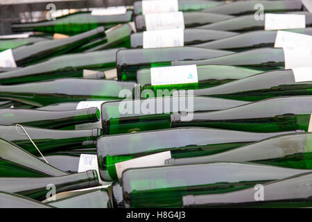 Valle della Mosella regione vinicola, vuoto bianco Riesling bottiglie di vino, Germania Foto Stock