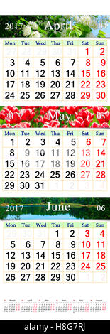 Calendario di Office per tre mesi di aprile maggio e giugno 2017 con immagini della natura. Calendario da parete per il secondo trimestre del 2017 Foto Stock