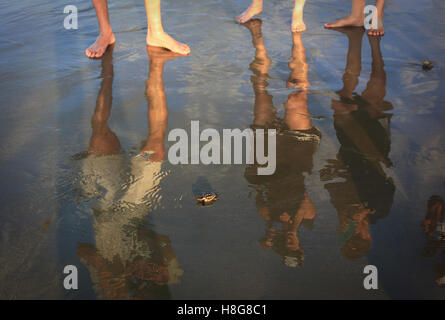 Un lone tartaruga caretta crawl hatchling attraverso sabbia bagnata vicino all'oceano. I piedi di spettatori può essere visto in questa immagine. Foto Stock
