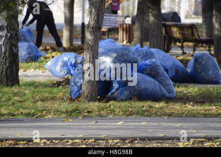 Slavyansk-na-Kubani, Russia - 9 Settembre 2016: i lavoratori del comune raccogliere foglie nel parco. Le donne di assistente sociale Foto Stock