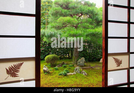 Giappone, Kyoto, Tofoku-ji, Funda-in, giardino, finestra Foto Stock