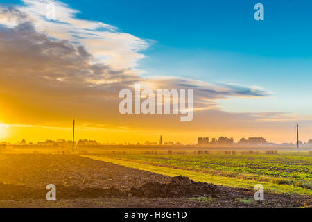 Alba in campi coltivati in Italia Foto Stock