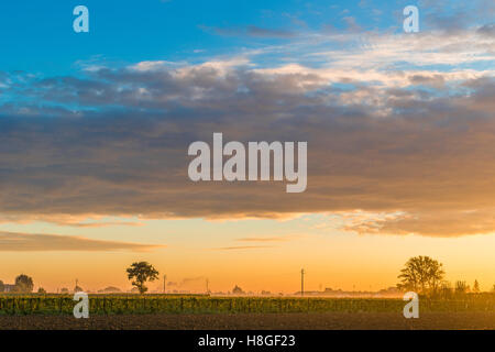 Alba in campi coltivati in Italia Foto Stock