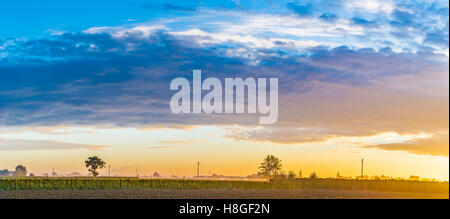 Alba in campi coltivati in Italia Foto Stock