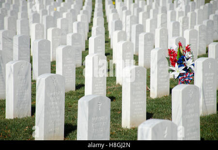 Rosso, bianco e fiori blu di aggiungere il colore alle righe di bianco lapidi presso il Cimitero Nazionale di Arlington. Foto Stock