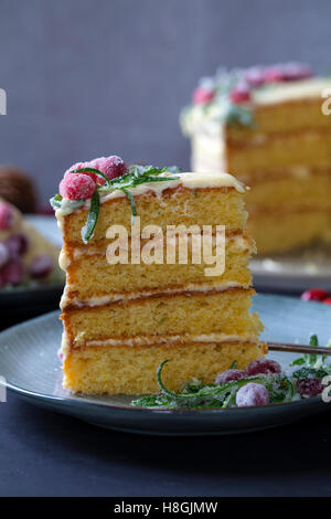 Layered torta di Natale con mirtilli rossi zuccherata e rosmarino Foto Stock