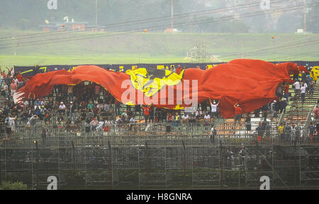 Sao Paulo, Brasile. 12 Novembre, 2016. I fan della Scuderia Ferrari durante il secondo giorno di training per il Brasile il Grand Prix di Formula 1 nel 2016 svoltasi sul circuito di Interlagos. (Foto: Aloisio Mauricio/Fotoarena) Credito: Foto Arena LTDA/Alamy Live News Foto Stock