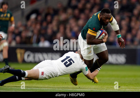 Londra, Regno Unito. 12 Novembre, 2016. Mike Brown & Tendai Mtawarira Inghilterra V Sud Africa Inghilterra V Sud Africa, internazional-autunno 2016 Twickenham, Londra, Inghilterra 12 novembre 2016 Autunno 2016 Internazionali Twickenham Stadium di Londra, Inghilterra Credito: Allstar Picture Library/Alamy Live News Foto Stock