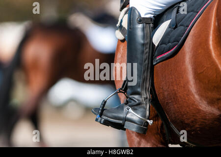 Raeford, North Carolina, USA. Xi Nov, 2016. Nov. 12, 2016 - Raeford, North Carolina, Stati Uniti d'America - stock selezionato immagini equestre dal 2016 War Horse serie evento campionati, nov. 12 a Carolina Horse Park in Raeford, N.C. Fondata nel 2013 come filiale di cabina Serie evento, il War Horse serie evento consiste di cinque prove a cavallo e prove combinate e attira piloti e i loro cavalli da tutta la parte orientale degli Stati Uniti. © Timothy L. Hale/ZUMA filo/Alamy Live News Foto Stock