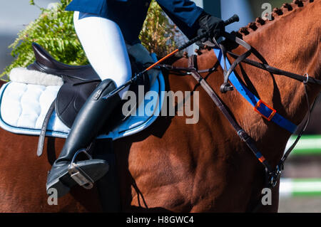 Raeford, North Carolina, USA. Xi Nov, 2016. Nov. 12, 2016 - Raeford, North Carolina, Stati Uniti d'America - stock selezionato immagini equestre dal 2016 War Horse serie evento campionati, nov. 12 a Carolina Horse Park in Raeford, N.C. Fondata nel 2013 come filiale di cabina Serie evento, il War Horse serie evento consiste di cinque prove a cavallo e prove combinate e attira piloti e i loro cavalli da tutta la parte orientale degli Stati Uniti. © Timothy L. Hale/ZUMA filo/Alamy Live News Foto Stock