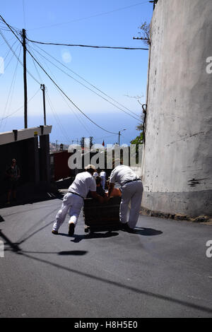 I turisti in giro per un angolo ripido che viaggiano verso il basso il cestello slittino ride, di Madera Foto Stock