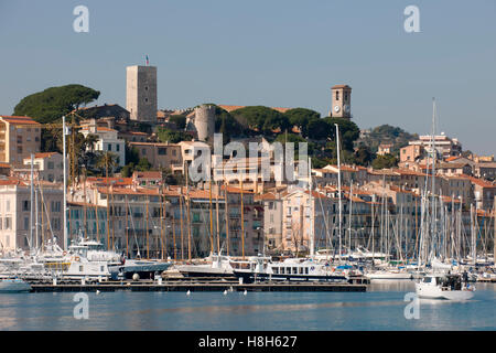 Frankreich, Cote d Azur, Cannes, der Alte Hafen und das Altstadtviertel Le Suquet mit Tour du Suquet Foto Stock