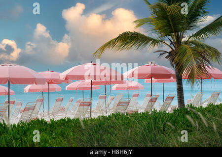 Spiaggia Rosa di ombrelloni e sedie a sdraio. Isole Turks e Caicos. Providenciales. Foto Stock