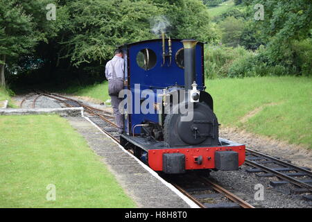 A scartamento ridotto motore a vapore, Bala Lake Railway Foto Stock