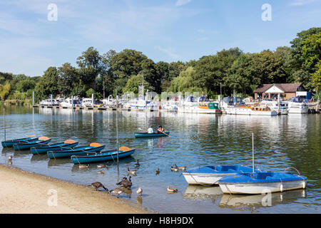 Barche a remi sul Fiume Tamigi da East Molesey, Surrey, England, Regno Unito Foto Stock