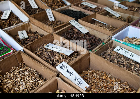 I funghi secchi, mercato cinese Foto Stock