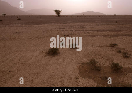 Tempesta di sabbia vicino Icht, Anti-Atlas, Marocco, Africa del Nord Foto Stock