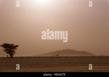 Tempesta di sabbia vicino Icht, Anti-Atlas, Marocco, Africa del Nord Foto Stock