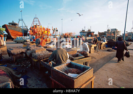 I pescatori nel porto di Essaouira, Marocco, Africa del Nord Foto Stock
